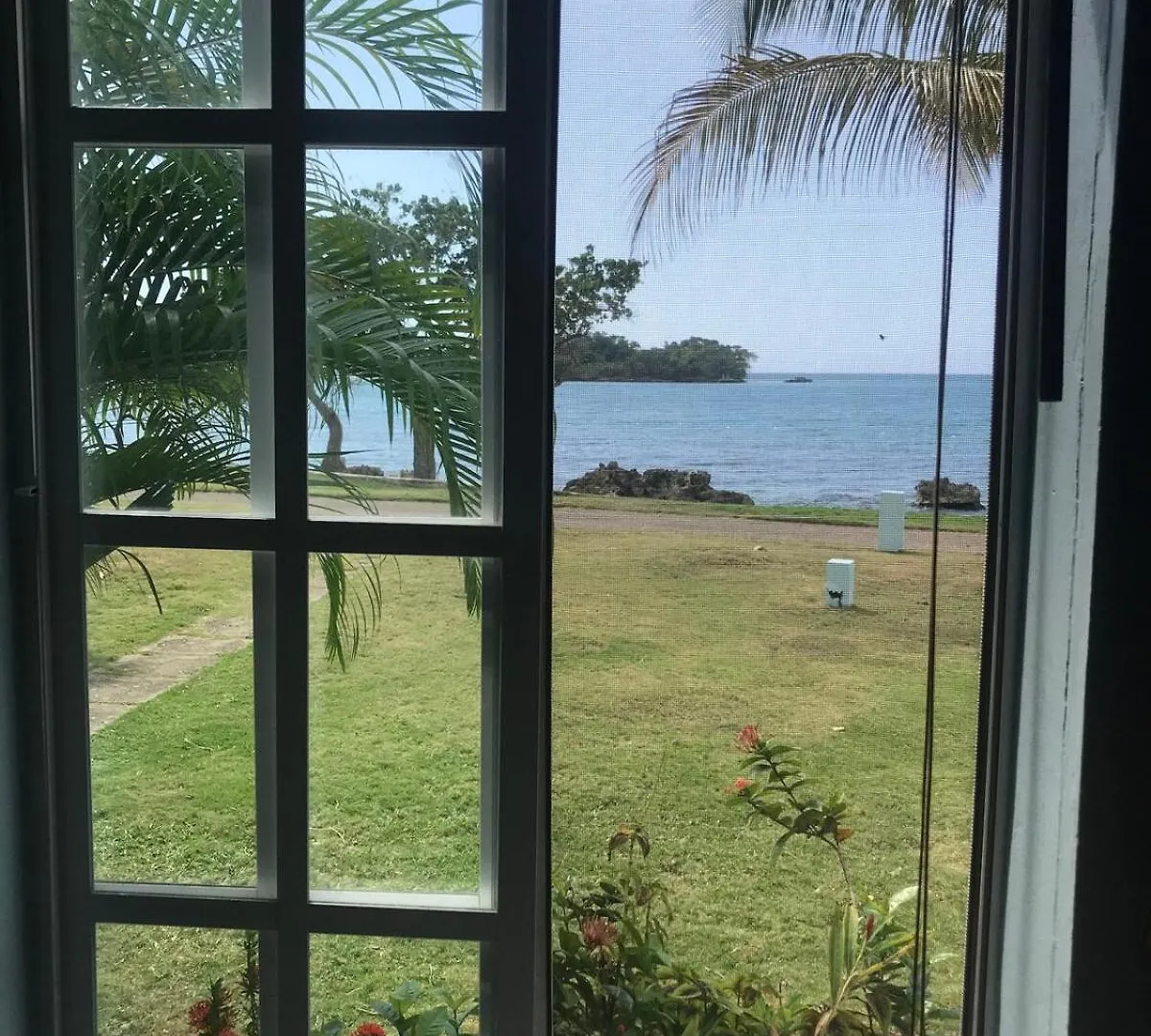 The Blue Haven -Oceanfront Studio With Pool Access Negril 0*,